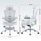 Фото - Крісло офісне Sihoo Doro C300L Mesh White with footrest (Doro-C300L-A3-102-JT) | click.ua