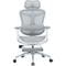 Фото - Крісло офісне Sihoo Doro C300L Mesh White with footrest (Doro-C300L-A3-102-JT) | click.ua