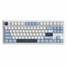Клавиатура Ajazz AK870 V2 Flying Fish Switch White USB-C (AK870-V2-FF-BWB)