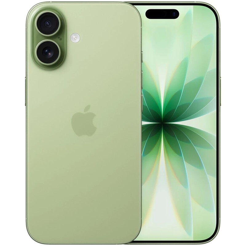 Смартфон Apple iPhone 17 256GB Sage (MG6N4AF/A)