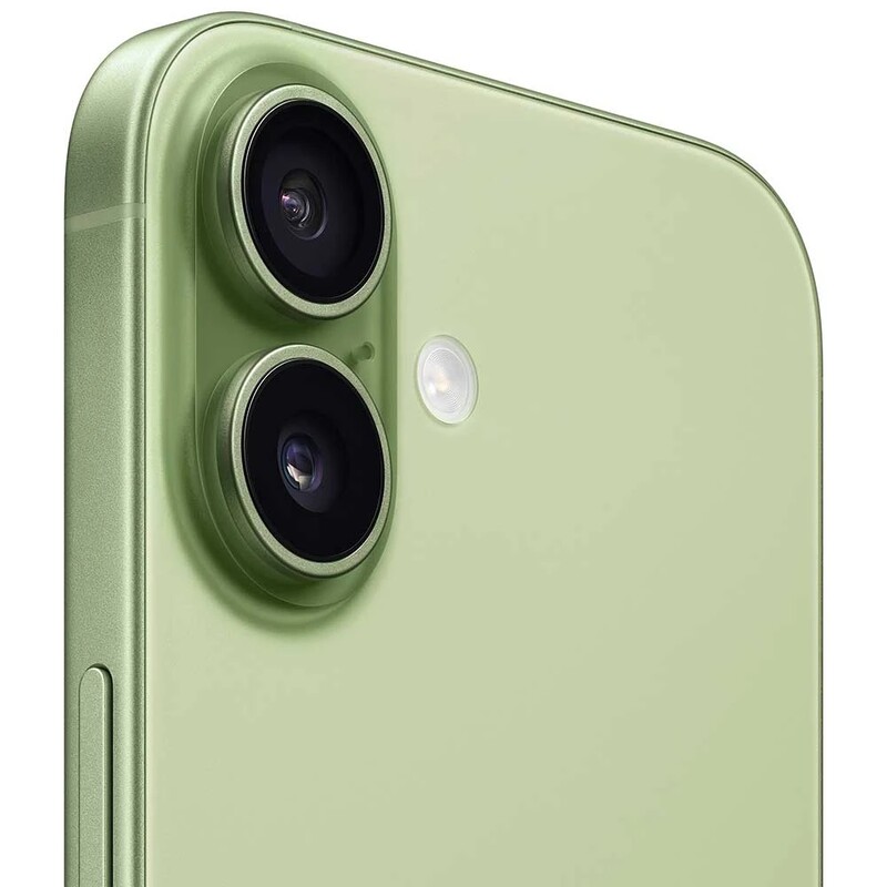 Смартфон Apple iPhone 17 256GB Sage (MG6N4AF/A)