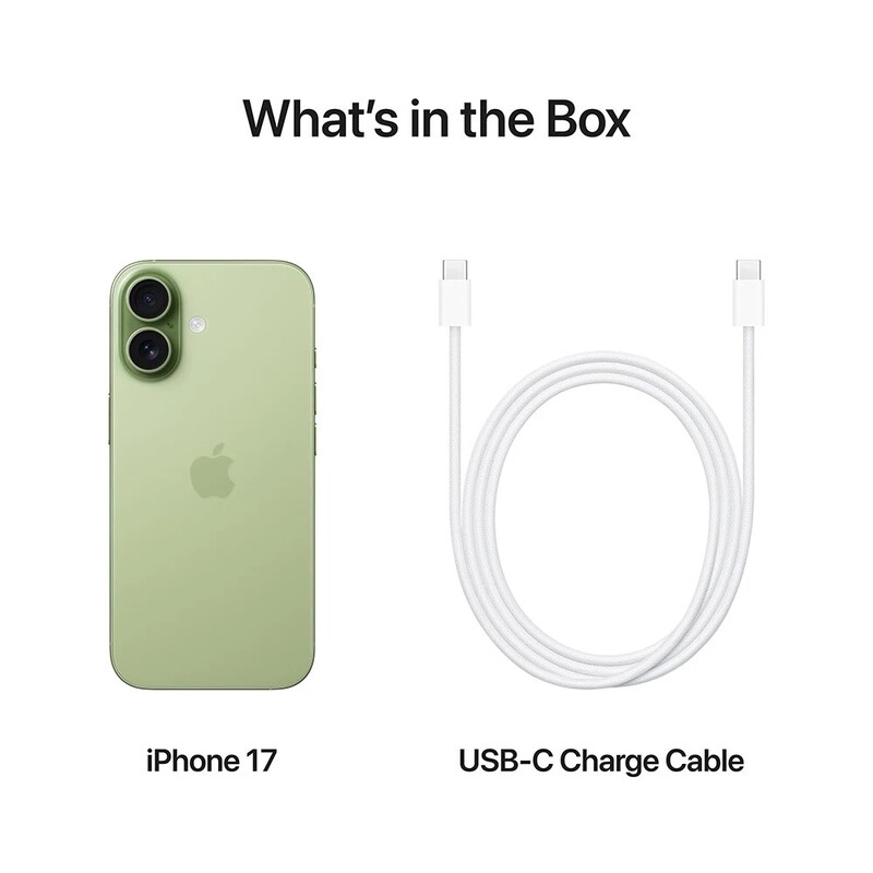 Смартфон Apple iPhone 17 256GB Sage (MG6N4AF/A)