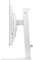 Фото - Монiтор Philips 26.5" 27M2N6501L QD-OLED White 240Hz | click.ua