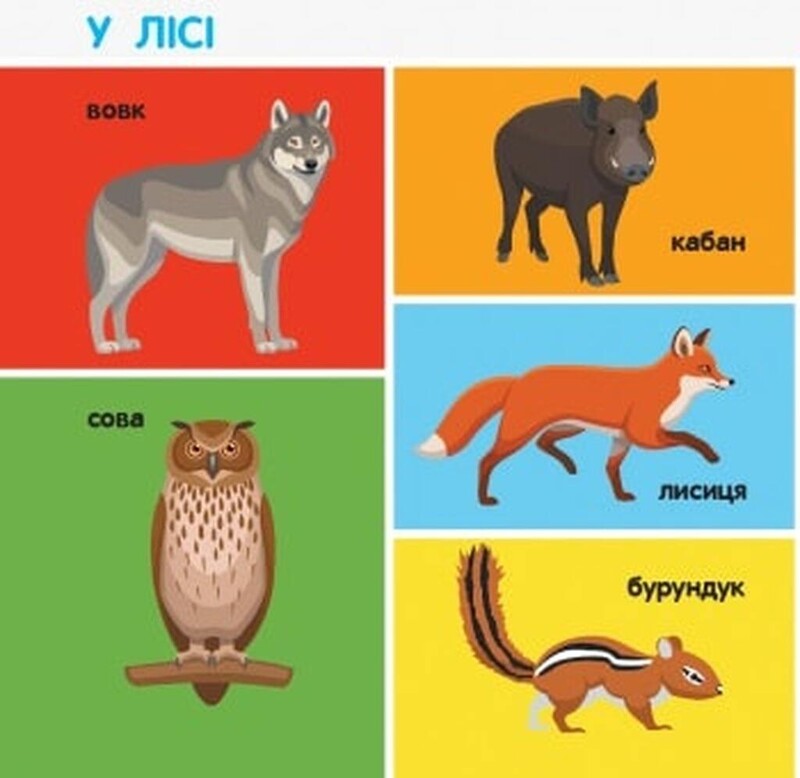 Смарт-книги. 100 тварин