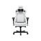 Фото - Крісло для геймерів Anda Seat Kaiser 4 V2 Size XL PVC White (AD12YDDC-XLL-20-W-PV/C-03) | click.ua