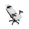Фото - Крісло для геймерів Anda Seat Kaiser 4 V2 Size XL PVC White (AD12YDDC-XLL-20-W-PV/C-03) | click.ua