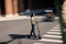 Фото - Электросамокат Segway Ninebot F3 E (AA.05.17.01.0005) | click.ua