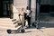 Фото - Электросамокат Segway Ninebot F3 PRO E (AA.05.17.02.0003) | click.ua