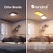 Фото - Светильник потолочный Nanoleaf Skylight Expansion Pack, 1 шт., Apple HomeKit (NF083E00-1SL) | click.ua
