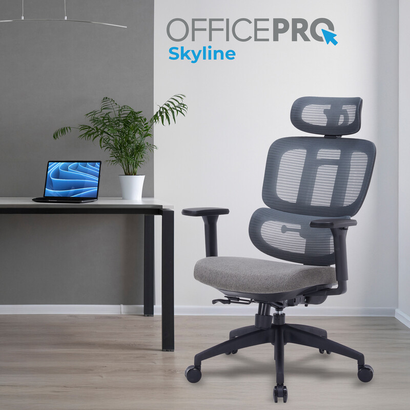 Кресло офисное OfficePro Skyline Black/Dark Gray (OC580-B-DG-DG)