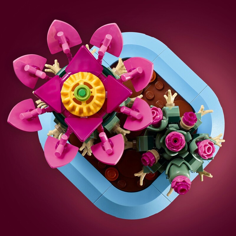 Конструктор LEGO Botanicals Цветение кактуса (11509)