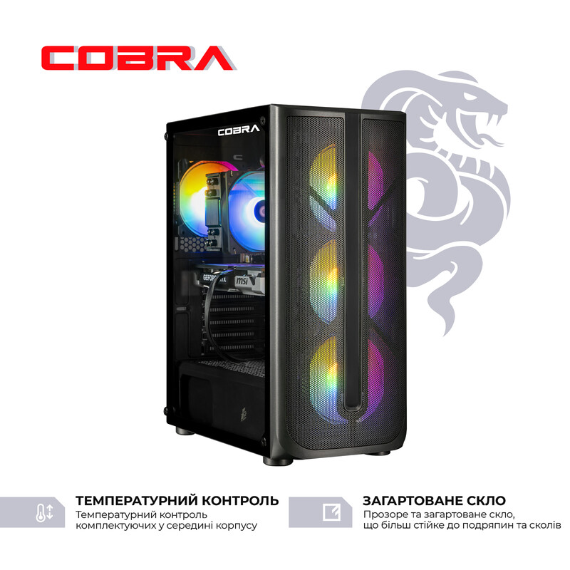 Персональный компьютер COBRA Advanced (I225F.64.S20.57.24649)