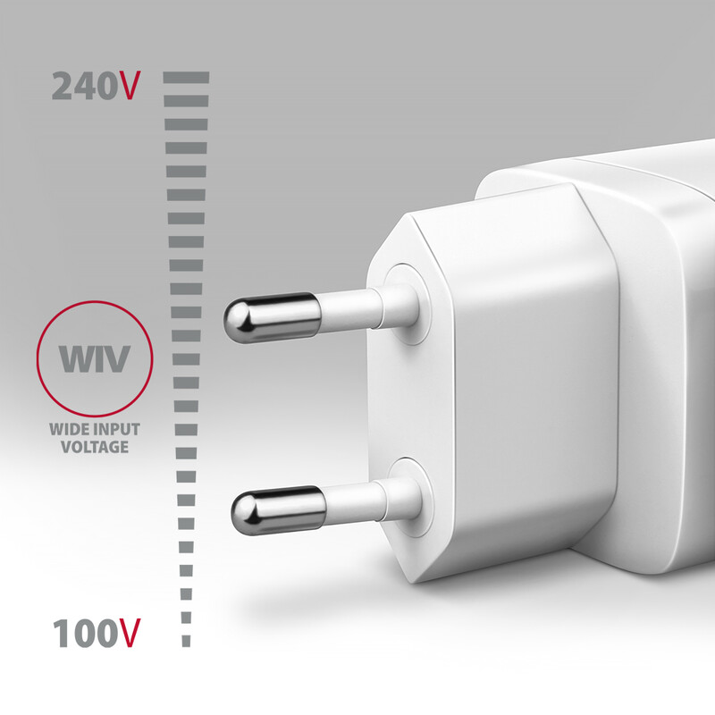 Зарядное устройство Axagon 65W White (ACU-DPQ65W)