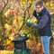 Фото - Измельчитель Bosch AXT 25 TC (0.600.803.30C) | click.ua