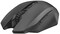 Фото - Мышь беспроводная Trust GXT 115 Macci Black (22417) | click.ua