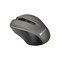 Фото - Миша бездротова Canyon CNE-CMSW1G Grey | click.ua