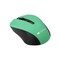 Фото - Мышь беспроводная Canyon CNE-CMSW1GR Green | click.ua