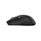Фото - Миша бездротова Canyon CNS-CMSW01B Black | click.ua