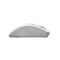 Фото - Мышь беспроводная A4Tech Fstyler FG55S Plus White | click.ua