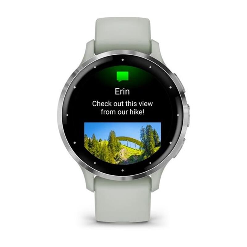 Смарт-часы Garmin Venu 3s Silver Stainless Steel Bezel with Sage Gray Case and Silicone Band (010-02785-01)
