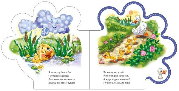 Все про каченятко / Ірина Сонечко