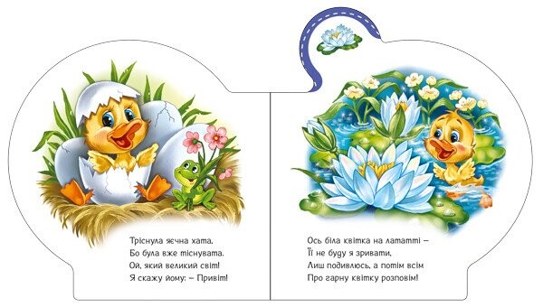 Все про каченятко / Ірина Сонечко