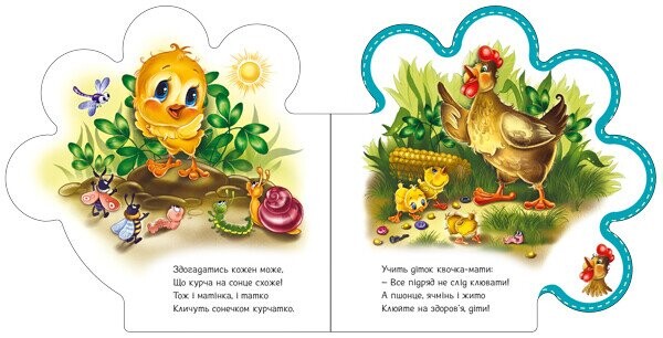 Все про курчатко / Ірина Сонечко