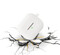 Фото - Чехол BeCover Silicon для Samsung Galaxy Buds 3 FE White (715115) | click.ua