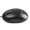 Фото - Мышь Gembird MUS-U-01 Black | click.ua