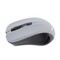 Фото - Миша бездротова Maxxter Mr-337-Gr Grey USB | click.ua