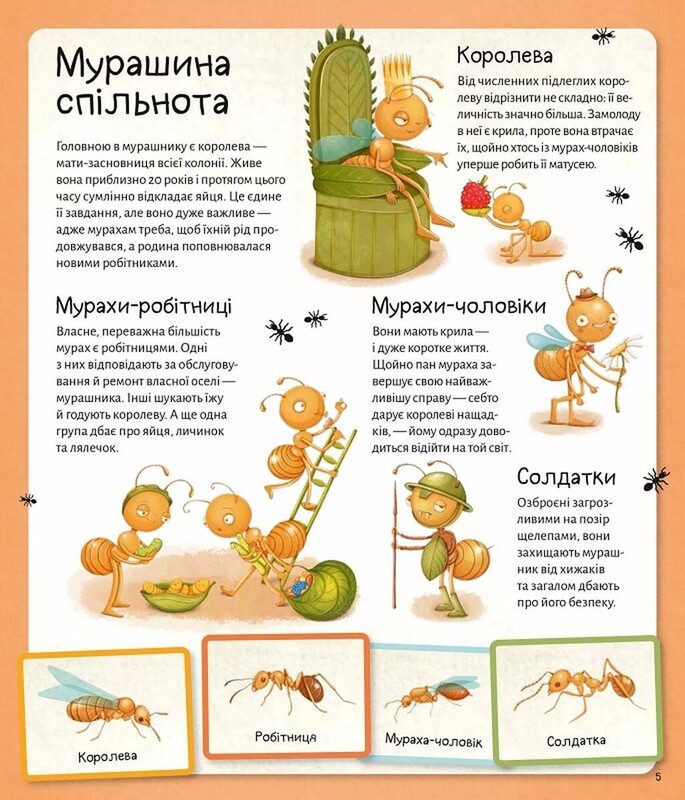 Мир муравьев / Штепанка Секанинова