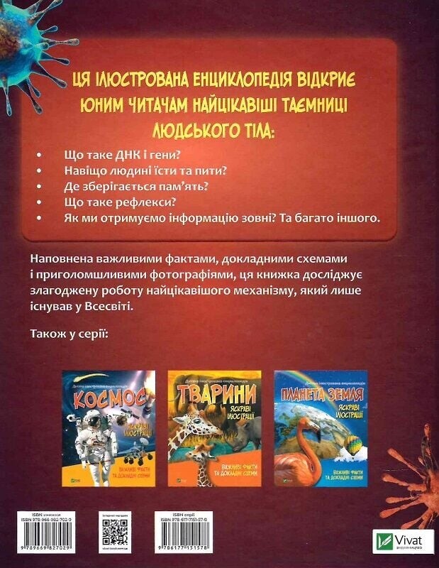 Тело человека. Важные факты и подробные схемы