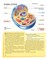Фото - Тело человека. Важные факты и подробные схемы | click.ua