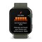 Фото - Смарт-годинник Garmin Venu X1 Moss Titanium with Moss Nylon (010-02980-23) | click.ua
