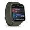 Фото - Смарт-годинник Garmin Venu X1 Moss Titanium with Moss Nylon (010-02980-23) | click.ua