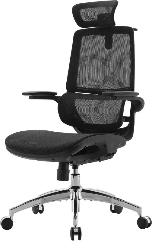 Кресло офисное Sihoo M59AS Mesh Black (DM59AS-M302)
