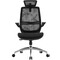 Фото - Кресло офисное Sihoo M59AS Mesh Black (DM59AS-M302) | click.ua