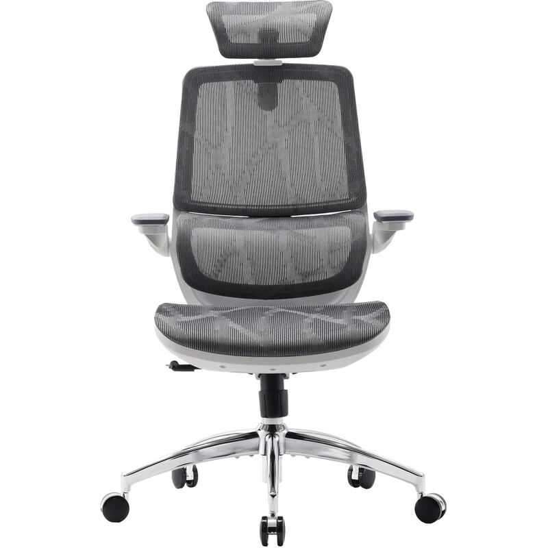Крісло офісне Sihoo M59AS Mesh Gray (M59AS-M301)