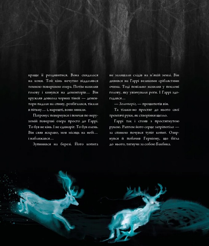Гаррі Поттер. Книга 3: Гаррі Поттер і в’язень Азкабану. Велике ілюстроване видання / Джоан Ролінґ