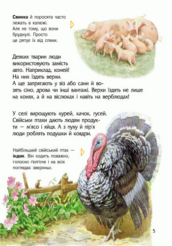 Энциклопедия дошкольника. Животные / Юлия Каспарова