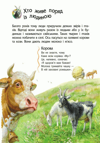 Энциклопедия дошкольника. Животные / Юлия Каспарова