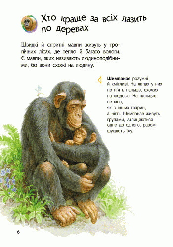 Энциклопедия дошкольника. Животные / Юлия Каспарова