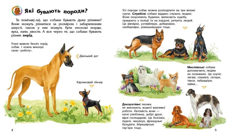 Энциклопедия дошкольника. Собаки / Юлия Каспарова