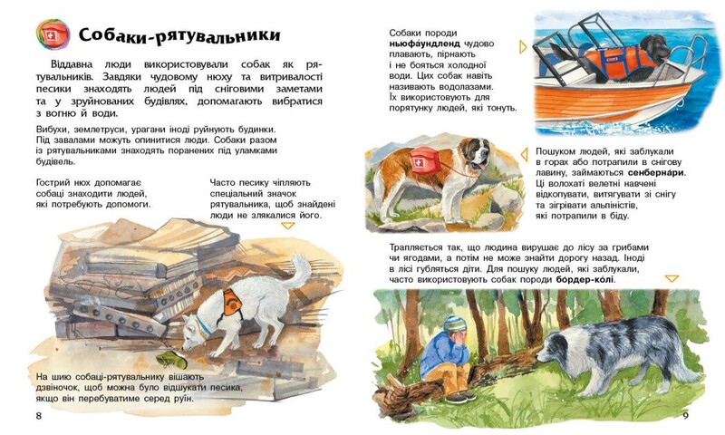 Энциклопедия дошкольника. Собаки / Юлия Каспарова