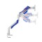 Фото - Крепление настольное для монитора GamePro 24-57" White/Blue (MAG701WBL) | click.ua