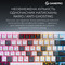 Фото - Клавіатура бездротова GamePro Asgard Valhalla QLAB Sakura Switch White With Display (MK160-W-D-QS-PRO) | click.ua