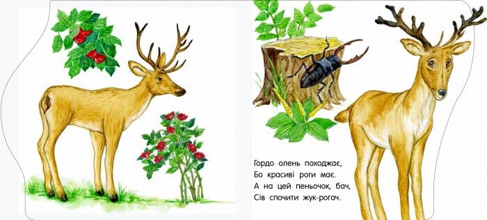 Перші кроки. У зоопарку / Юлія Каспарова