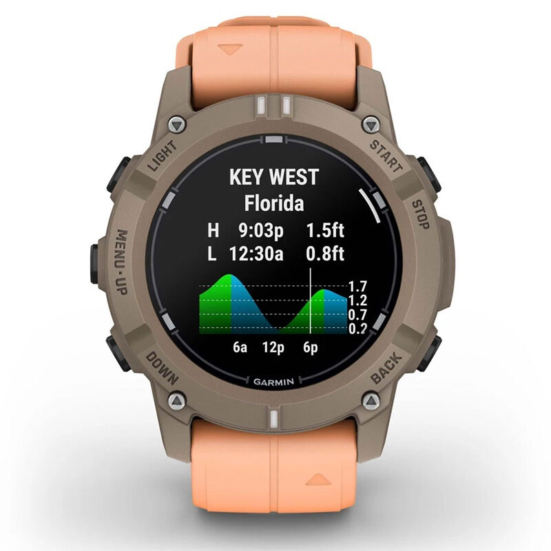 Смарт-годинник Garmin Descent G2 Paloma with Shell Pink Band (010-02986-01)