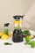 Фото - Блендер Wilfa Essential 1800 Auto RBLP-1800B (609906) | click.ua