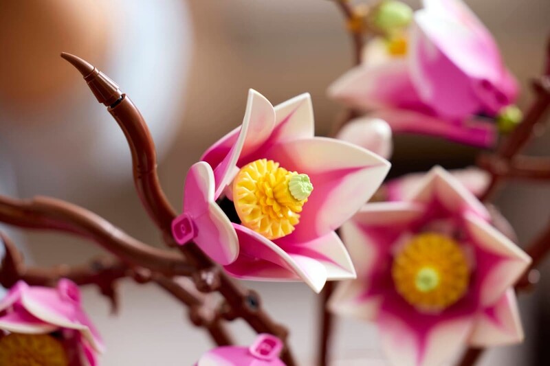 Конструктор LEGO Botanicals Гілки магнолії (11510)